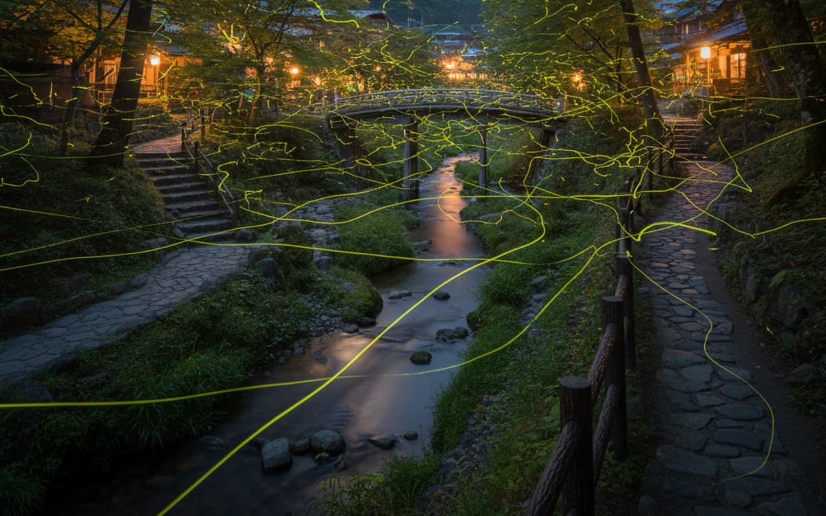 2026年 下部温泉ほたる公園:見頃時期と幻想的な夜を最大限に楽しむ完全ガイド