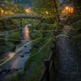 2026年 下部温泉ほたる公園:見頃時期と幻想的な夜を最大限に楽しむ完全ガイド